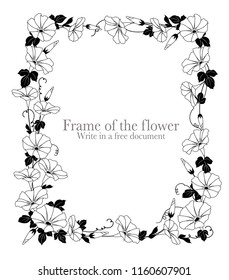 Decoration frame of the flower,