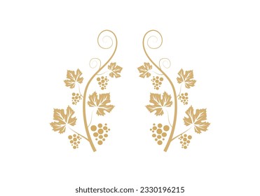 Decoration grapevine, vine canes and grapes. grape vine silhouette. vector illustration