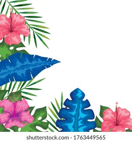 decoration of hibiscus flowers with branches and leaves, tropical nature, spring summer botanical vector illustration design