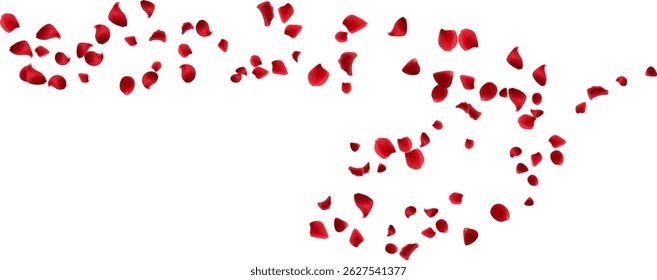 Decoration love day, greeting card with red rose petals floating wind line. spa