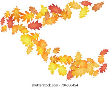 Decoration of Oak leaf abstract background seasonal vector illustration. Autumn leaves falling graphic design. Fall season specific vector background. Oak tree autumn foliage on white.