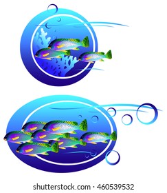 Decoration on the theme of the underwater world