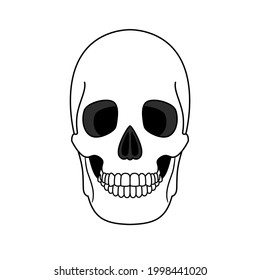 Decoration from outline skull. Anatomical correct element of human skeleton with teeth, ancient head bone with black eyes sockets, vector illustration of traditional symbol of horro