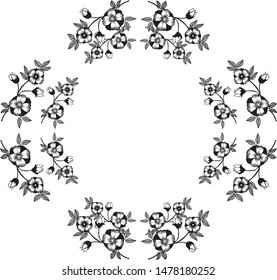 Decoration pattern of card, with background floral frame abstract. Vector