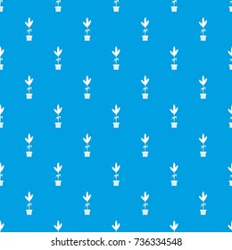 Decoration plant on pot in simple style isolated on white background vector illustration