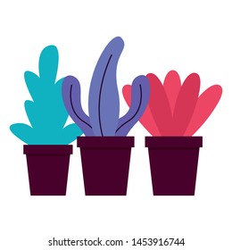 decoration plants in pot white background vector illustration