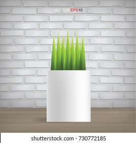 Decoration plants in vintage interior background with brick texture. Natural object for interior decoration. Vector illustration.