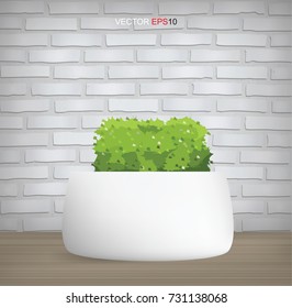 Decoration plants in vintage interior background with brick texture. Natural object for interior decoration. Vector illustration.