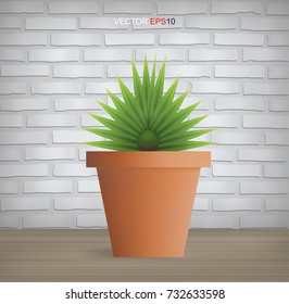 Decoration plants in vintage interior background with brick texture. Natural object for interior decoration. Vector illustration.