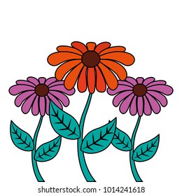 decoration three rose stem petal flower leaf botanical