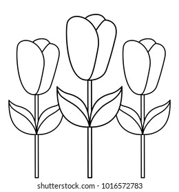 decoration three rose stem petal flower leaf botanical