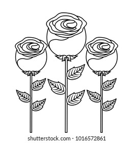 decoration three rose stem petal flower leaf botanical