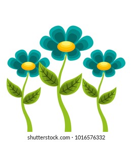 decoration three stem petal flower leaf botanical