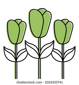 decoration three stem petal flower leaf botanical