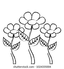 decoration three stem petal flower leaf botanical