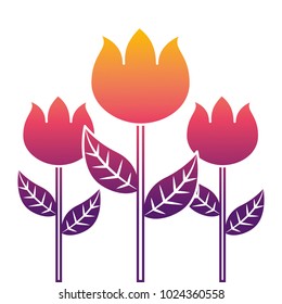 decoration three stem petal flower leaf botanical
