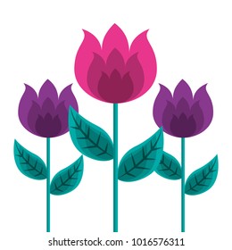 decoration three tulip stem petal flower leaf botanical