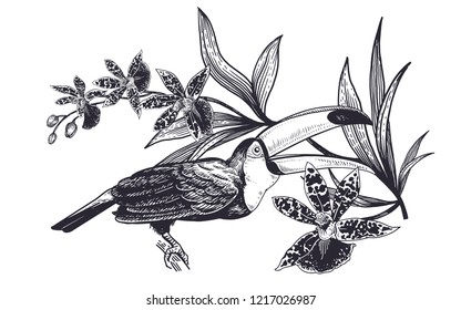 Aves tropicales y flores. Dibujo manual realista de la huerta toscana y hermosa Orquídea aislada en fondo blanco. Dibujo de ilustraciones vectoriales en blanco y negro. Grabado oriental vintage.