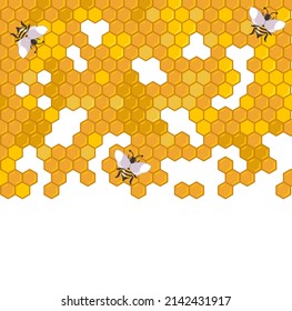 decoration vector illustrator pattern cute bee on a shape hexagon honeycomb on a white background 