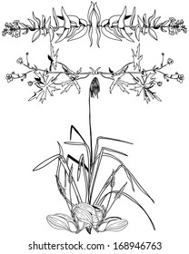 Decorations in the shape of the ornament monochrome wild flowers and herbs