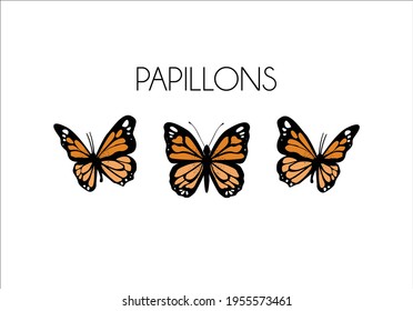 decorativ papillon (butterfly in English) 