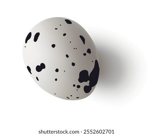 Huevo decorativo de codorniz 3d con sombra aislado en blanco. Huevo de pájaro hermoso realista para el día de Pascua o la decoración de vacaciones de primavera. Vector ilustración de stock.