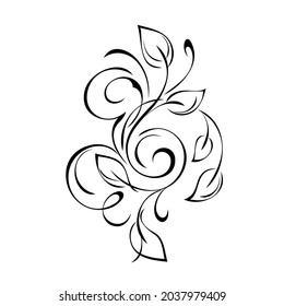 decorative abstract element with leaves and curls in black lines on a white background