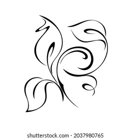 decorative abstract element with leaves and curls in black lines on a white background