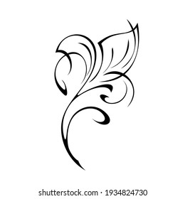 decorative abstract element with leaves and vignettes in black lines on a white background