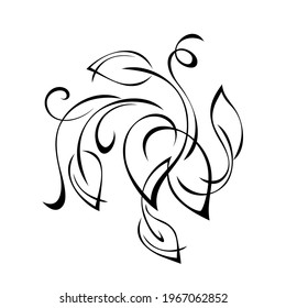 decorative abstract element with stylized leaves and vignettes in black lines on a white background