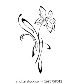 decorative abstract flower on a stem with curls in black lines on a white background