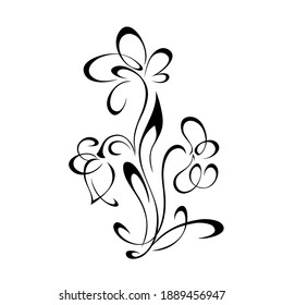 decorative abstract flowers on stems with curls in black lines on a white background