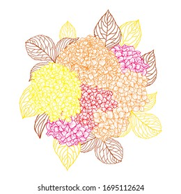 Decorative abstract hydrangea flowers, design elements. Can be used for cards, invitations, banners, posters, print design. Floral background in line art style