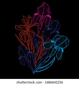 Decorative abstract iris flowers, design elements. Can be used for cards, invitations, banners, posters, print design. Floral background in line art style