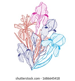 Decorative abstract iris flowers, design elements. Can be used for cards, invitations, banners, posters, print design. Floral background in line art style
