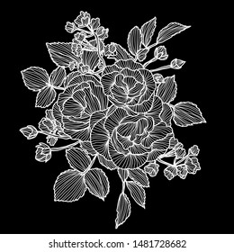 Decorative abstract rose flowers, design elements. Can be used for cards, invitations, banners, posters, print design. Floral background in line art style