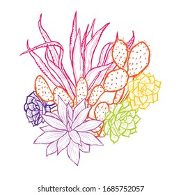 Decorative abstract succulent plants, design elements. Can be used for cards, invitations, banners, posters, print design. Floral background in line art style
