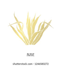 Decorative  agave plant, design element. Can be used for cards, invitations, banners, posters, print design. Golden succulents