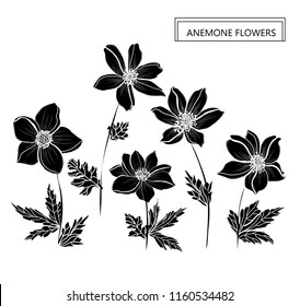 Decorative anemone flowers, design elements. Can be used for cards, invitations, banners, posters, print design. Floral background in line art style