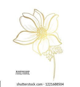 Decorative anemone flowers, design elements. Can be used for cards, invitations, banners, posters, print design. Golden flowers