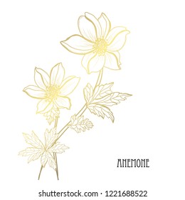 Decorative anemone flowers, design elements. Can be used for cards, invitations, banners, posters, print design. Golden flowers