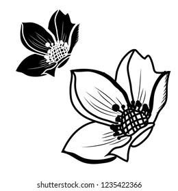 Decorative anemone flowers set, design elements. Can be used for cards, invitations, banners, posters, print design. Floral background in line art style