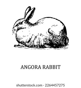 Conejo angora decorativo, elemento de diseño. Se puede usar para tarjetas, invitaciones, banners, afiches, diseño de impresión. Fondo animal en el estilo de arte en línea