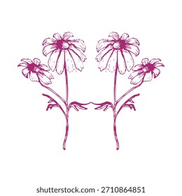 Decorative arrangement featuring two bouquets of daisy flowers forming mirror image. Botanical floral design element suits spring stationery items and various print products.