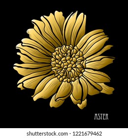 Decorative aster  flower, design element. Can be used for cards, invitations, banners, posters, print design. Golden flowers