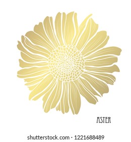 Decorative aster  flower, design element. Can be used for cards, invitations, banners, posters, print design. Golden flowers