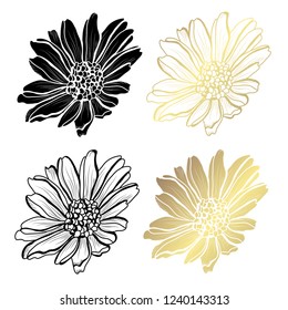 Decorative aster flowers, design elements. Can be used for cards, invitations, banners, posters, print design. Golden flowers