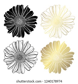 Decorative aster flowers, design elements. Can be used for cards, invitations, banners, posters, print design. Golden flowers