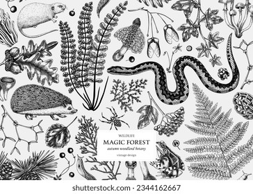 Decorative autumn background. Hand-drawn vector illustration. Woodland animals, ferns, mushrooms, fall leaves, autumn plant sketches. Vintage banner design