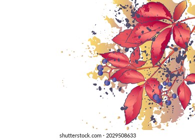 Decorative autumn background with red leaves (Virginia creeper). Card template design. Vector illustration.